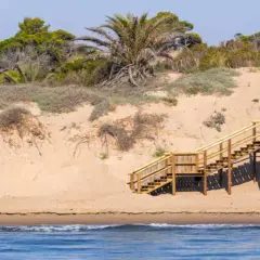 Escaleras de madera suben por las dunas de arena hacia la vegetación en la playa Els Tossals.