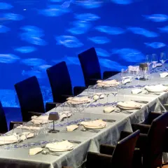 Mesa puesta para cena en el Oceanogràfic, con sillas negras y un acuario de peces de fondo. ¿Dónde comer en el Oceanogràfic? Opiniones.