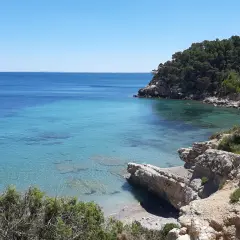 Aguas cristalinas y rocas en la playa del Perelló, con vegetación verde y un cielo azul despejado.
