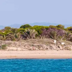 Pasarela de madera que sube a la vegetación dunar en la playa Los Tusales. El mar azul contrasta con la arena y las palmeras.