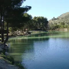 Tranquilo lago de aguas verdosas junto a un bosquete de pinos y una ladera con olivos. El bosquet de Moixent invita a la calma.