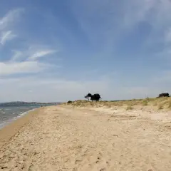 Arena dorada y mar azul en la playa el pinet, con dunas y pinos solitarios bajo un cielo nublado.