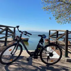 Bicicleta eléctrica lista para recorrer el carril bici de Valencia junto a la Albufera.