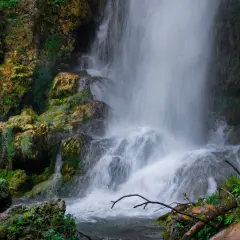 Cascada con rocas cubiertas de musgo y vegetación exuberante.