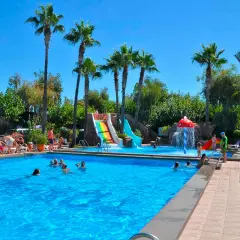 ¡Un día bravo en la playa! Niños y adultos disfrutan de toboganes acuáticos y una piscina refrescante bajo palmeras.