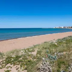 La playa Els Molins se extiende con arena dorada y vegetación costera bajo un cielo azul. Al fondo, se vislumbran casas blancas y un faro.