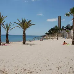 Arena dorada y palmeras en la playa blanca Alicante. Gente disfrutando del sol y el mar Mediterráneo.
