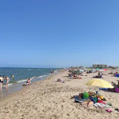 Gente disfrutando del sol y el mar en la playa de la Garrofera. Sombrillas, toallas y bañistas llenan la arena dorada bajo un cielo azul.
