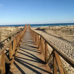 Pasarela de madera que conduce a la playa del campo, con dunas y el mar azul al fondo.