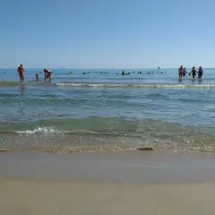 Gente disfrutando del mar y la arena en les palmeretes. El agua cristalina y el cielo azul invitan a un día perfecto.