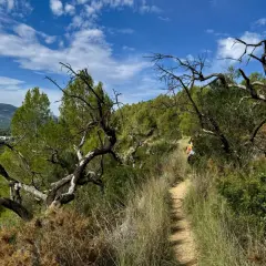 Sendero en el coll de rates, con vegetación seca y árboles retorcidos. Al fondo, un pueblo y montañas bajo un cielo azul con nubes.