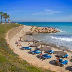 Una cala estaca con palmeras y sombrillas en la arena, donde la gente descansa bajo el sol. El mar azul turquesa invita a un refrescante baño.