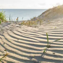 Dunas de arena con hierba creciendo en la playa de Terranova, con el mar al fondo.