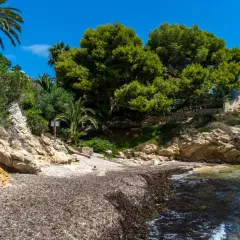 La cala nostra, con rocas doradas y vegetación exuberante, invita a la calma. El mar azul acaricia la orilla cubierta de algas.