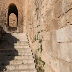 Escaleras de piedra ascienden hacia un arco en el castillo de Requena. La antigua muralla de piedra, con vegetación creciendo en sus grietas, proyecta sombras.