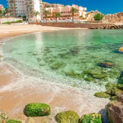 Aguas cristalinas y arena dorada en la cullera playa, con edificios y palmeras al fondo.