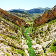 Un cañón rocoso con vegetación exuberante y un río serpenteante. El **pantano de Tibi** se revela en su esplendor natural, con formaciones geológicas impresionantes y un cielo azul claro.