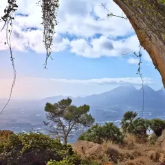 Vista desde el Forat de Bernia, con vegetación colgante y un paisaje montañoso al fondo.