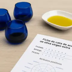 Ficha de cata de aceite de oliva virgen extra con vasos azules y aceite en una cuenco.