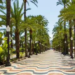 Una soleada promenada alicante con palmeras a ambos lados y un suelo de mosaico ondulado.