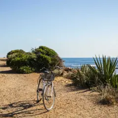 Bicicleta blanca en un camino de tierra junto al mar. El sol ilumina la escena, creando sombras alargadas. Parece que la renega ha dejado su bici para disfrutar de la brisa marina.