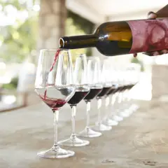 Una persona sirve vino tinto en copas para una degustación en Valencia.