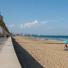 Paseo marítimo con palmeras y gente disfrutando de las **plages valence** bajo un cielo azul.