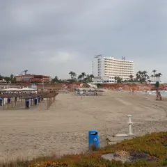 Playa con sombrillas y tumbonas preparadas. Al fondo, un hotel blanco y edificios costeros. El mar se ve tranquilo bajo un cielo nublado. Un día perfecto para disfrutar de la cala del bosque.