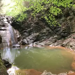 Un rincón secreto en el gorg dels Banyuts, con una cascada que alimenta una poza de aguas verdes rodeada de rocas y vegetación exuberante.
