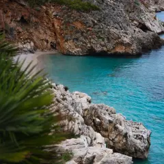 Una cala escondida en el mar de Jávea, con aguas turquesas y rocas escarpadas. Palmeras en primer plano añaden un toque exótico.