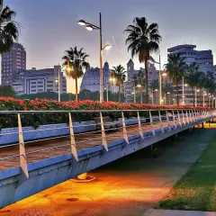 Puente iluminado con palmeras y flores rojas en la ciutat vella valencia al atardecer.