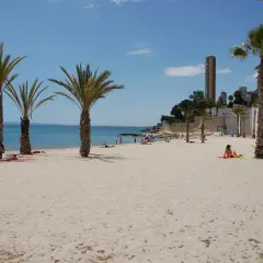Gente disfruta del sol en la playa albufereta, con palmeras y edificios modernos de fondo.