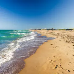 Olas turquesas rompen en la arena dorada de la playa de la Devesa del Saler. Un día perfecto para pasear.