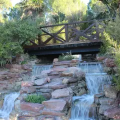 Puente de madera sobre cascadas en uno de los parques de Valencia. Naturaleza exuberante y rocas rojizas crean un paisaje idílico.