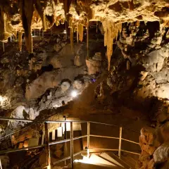 Interior de la cueva del Rull, con estalactitas colgando del techo y formaciones rocosas iluminadas. Escaleras y barandillas guían el recorrido.