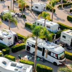 Un camping soleado en Xeraco con varias autocaravanas aparcadas entre palmeras y setos.