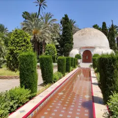 Un estanque de agua rojiza y un edificio abovedado en el parque el palmeral, rodeado de palmeras y vegetación exuberante.