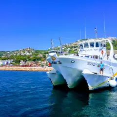 Catamarán "Estrella Fugaz" en el puerto de Dénia, con la costa y el monte al fondo.