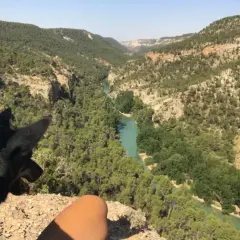 Un perro y una persona contemplan los impresionantes cañones del Júcar, con un río turquesa serpenteando entre montañas cubiertas de pinos.