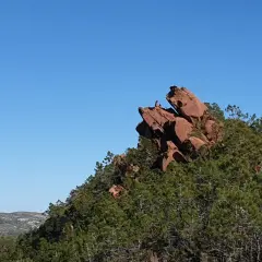 Persona sentada en la cima de una roca rojiza en el **Desert de les Palmes**, rodeada de pinos y bajo un cielo azul intenso.
