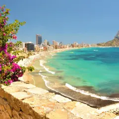 Vista panorámica de la mejor playa de Calpe, con su arena dorada, aguas turquesas y el imponente Peñón de Ifach. Flores moradas en primer plano.