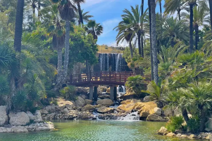 Un puente de madera cruza un arroyo en el parque el palmeral, con una cascada al fondo y exuberantes palmeras rodeando el agua verde.