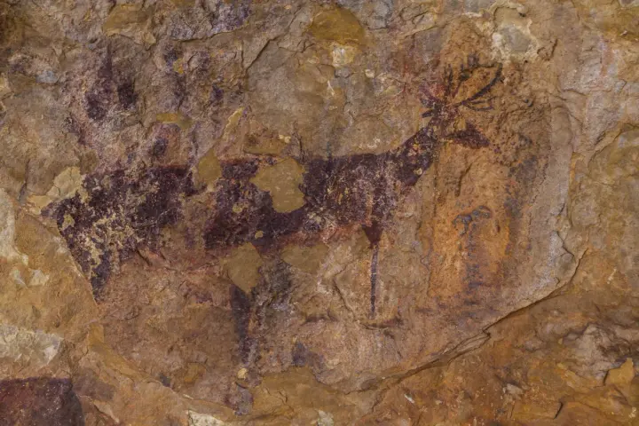 Una antigua pintura rupestre muestra un ciervo con astas, su cuerpo detallado con pigmentos rojizos y oscuros sobre la roca.