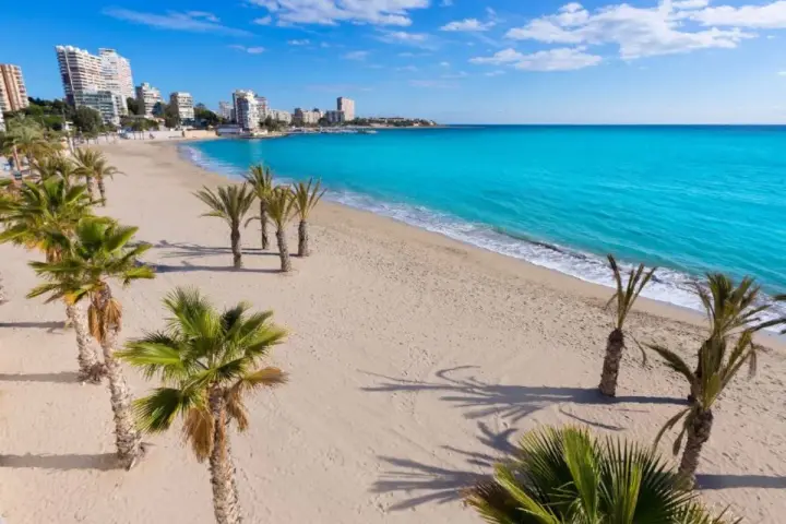 Playa de arena dorada con palmeras y el mar turquesa, un paraíso que podría ser una de las 10 mejores playas de Alicante.
