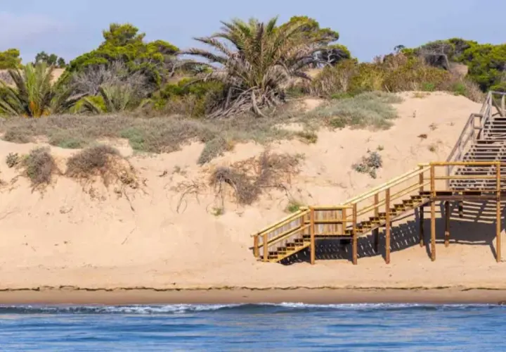 Escaleras de madera suben por las dunas de arena hacia la vegetación en la playa Els Tossals.