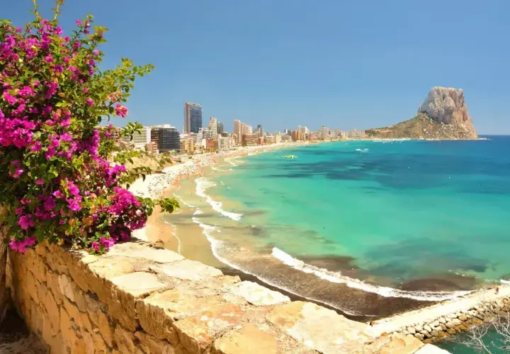 Vista panorámica de la playa del arenal-bol, con aguas turquesas, arena dorada, edificios altos y el Peñón de Ifach al fondo. Flores rosas en primer plano.