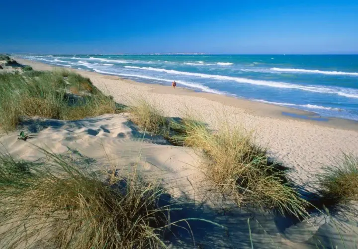 Dunas de arena y hierba en la playa los viveros, con el mar azul y olas rompiendo.