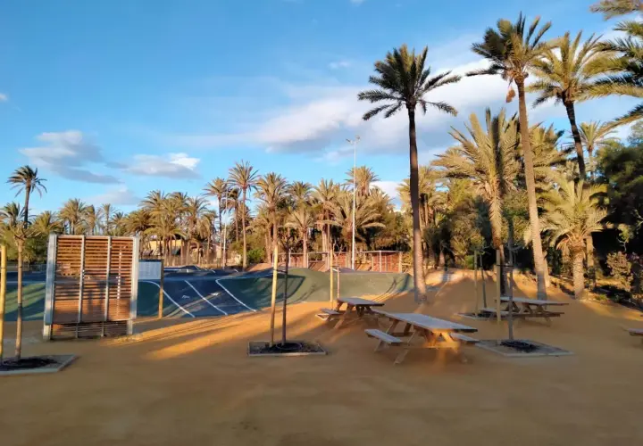 Un día soleado en el palmeral de Alicante, con palmeras altas, un circuito para patinar y mesas de picnic bajo el cielo azul.