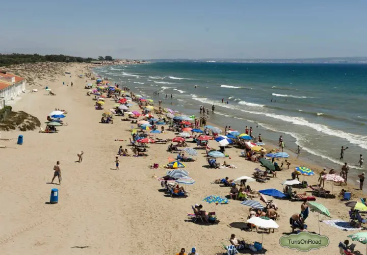 Gente disfrutando del sol y el mar en la playa la marina, con sombrillas de colores y aguas tranquilas.