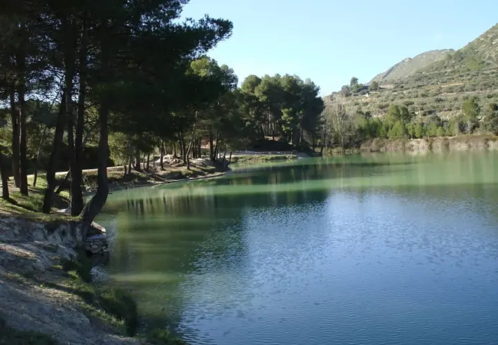 Tranquilo lago de aguas verdosas junto a un bosquete de pinos y una ladera con olivos. El bosquet de Moixent invita a la calma.